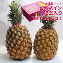 2月初旬より【台湾産】台湾パイン 6本〜7本入り 箱売り 芯まで食べられる パインアップル パインケーキ pineapple pine 甘い 果物 フルーツ