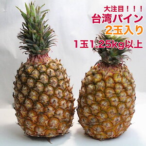 【6月下旬まで】【台湾産】台湾パイン 2入り 箱売り 芯まで食べられる パインアップル パインケーキ pineapple pine 甘い 果物 フルーツ
