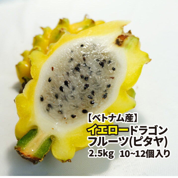 【ベトナム産】イエロードラゴンフルーツ M 10〜13入り 2.5kg以上 送料無料 ピタヤ トロピカルフルーツ 黄色のサムネイル