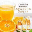 三ケ日平山産加藤農園のみかんジュース3点セット ジュース シロップ漬け デコジュース 静岡県産 みかん ミカン 蜜柑 不知火 フルーツ ギフト プレゼント 送料...