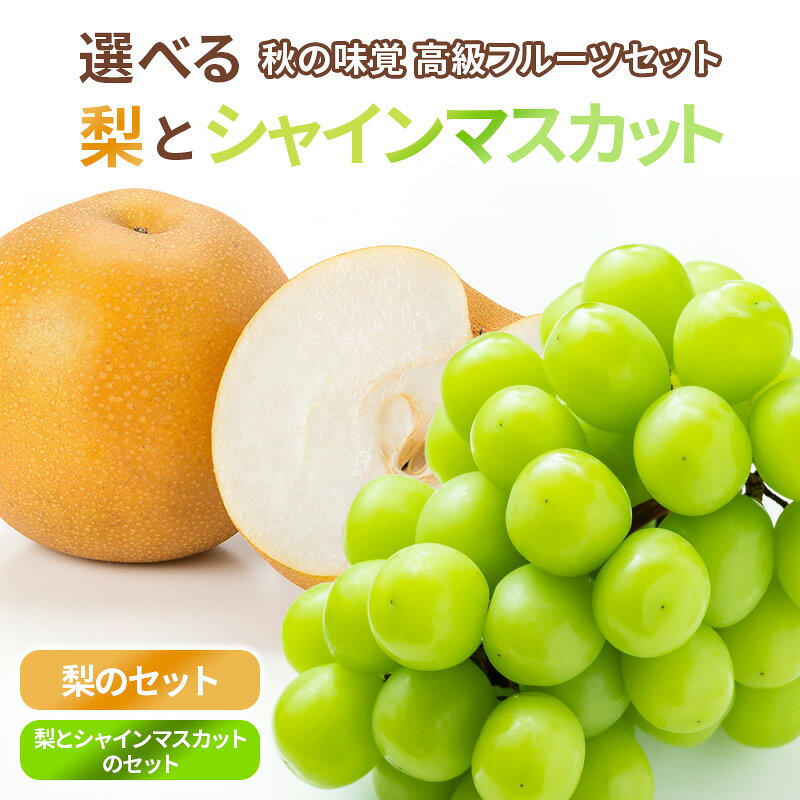 秋の味覚 高級フルーツセット【長野県】シャインマスカット　1房450g以上 4玉1.2キロ　2房梨5玉1.5キロ 敬老の日ギフト メッセージ 秋ギフト 化粧箱 果物 詰め合わせ （品種 南水）（敬老の日 メッセージカード付)