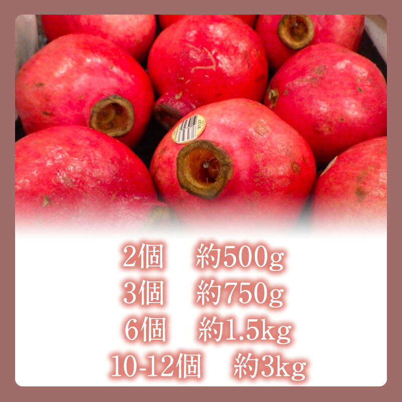 ��3���ܤ�����ټ���缡ȯ���ۡڥ��껺�ۥ����� 2��~12�� �֤����� ����̵�� pomegranate ���� ���� ���� ������ �Ť� ��ʪ �ե롼�� �������ء����� �� �ե�å���