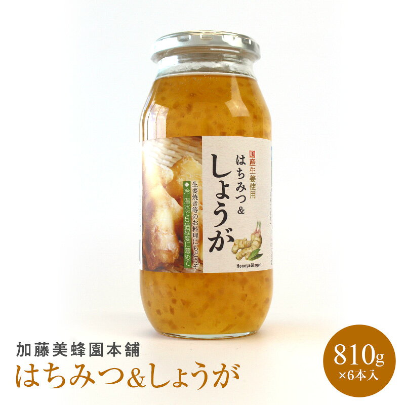 商品詳細 ・国産生姜使用 ・はちみつのまろやかな甘さ ・しょうがのじんわりとした辛み ・お湯割りやヨーグルト、パンなど幅広く使える ・料理の味付けにも活用できる 国産生姜を使用した、はちみつ＆しょうが。 はちみつのまろやかな甘さと、しょうがのじんわりとした辛みが楽しめる一品です。 お湯で割ってしょうが湯にしたり、ヨーグルトやパンにかけたり、料理の味付けに使ったりと、さまざまな楽しみ方ができます。 商品情報 【容量】810g×6本入り 【原材料】 水飴　砂糖混合ぶどう糖果糖液糖（国内製造）砂糖　はちみつ　しょうが汁　しょうが/酸味料（クエン酸）増粘剤（ペクチン）香料 【栄養成分（100gあたり）】エネルギー290キロカロリー たんぱく質0g 脂質0g 炭水化物72.4g 食塩相当量0.03g 【賞味期限】枠外下部に記載　製造日より360日 ご注意 原材料にはちみつを使用していますので一歳未満の乳児には与えないでください