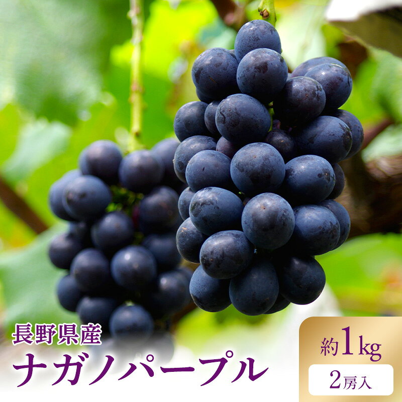 楽天市場】ナガノパープル 1kgの通販