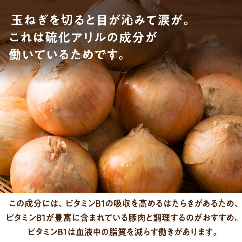 ���̳�ƻ���ۤ��ޤͤ� 20kg M~2L ��60~120���� 1����150~300g �̸� ��Ǭ �̤ͤ� ���˥��� onion ���졼 ��̳��