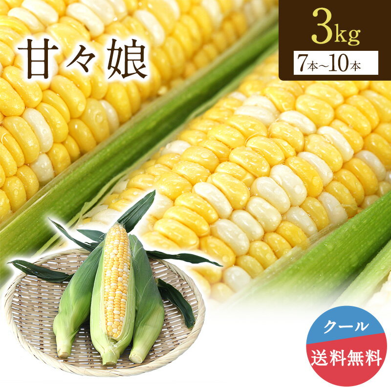 【6月上旬頃より順次発送】甘々娘 3kg 7本～10本入 トウモロコシ スイートコーン スイーツコーン フルーツコーン とうもろこし 野菜 甘い クール便 送料無料　静岡県森町産のサムネイル