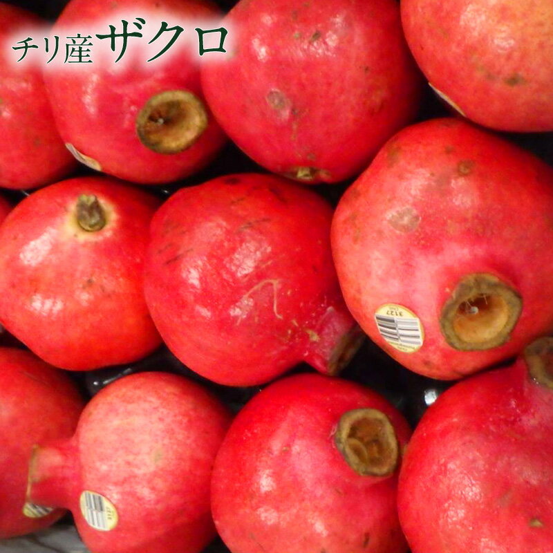 【チリ産】ザクロ 2個~12個 赤い宝石 送料無料 pomegranate 柘榴 石榴 若榴 ざくろ 甘い 果物 フルーツ..