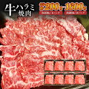 牛肉 ハラミ <選べる>(約200g×1パック〜8パック・計約200g〜1600g) お肉 焼き肉 牛肉 赤身 はらみ ステーキ バーベキュー BBQ アウトド...