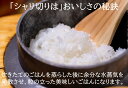 「公式」期間限定:ポイント20倍【賞味期限7月末まで】米 国産白米パックごはん150g×30パック 1箱 30入 パックごはん 特価 常温保存 一人暮らし レン...