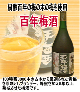 日本一の梅酒「百年梅酒」720ml