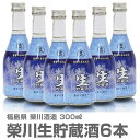 (福島県)300ml 6本入 栄川生貯蔵酒 ギフト用箱付 常温発送 会津榮川酒造の日本酒