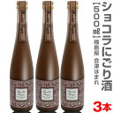 (福島県)【3本セット】500ml チョコレートのお酒 ショ