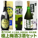 【おすすめ梅酒 3酒セット】大七梅酒+末廣梅酒+百年梅酒=各720ml 常温発送【送料無料 クール品同梱不可】