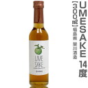 栄川酒造 UMESAKE 8年熟成 日本酒漬け梅酒 300ml 箱無 (福島県)
