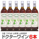 楽天福島の酒応援店　浜田屋楽天市場店（山梨県） ドクターワイン（720ml×6本1箱セット）健康酒【送料無料 クール品同梱不可】沖縄・離島対象外 山梨薬研