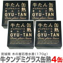 (宮城県) 【4個】送料無料 牛たん缶熟デミグラスソース煮込み 牛タン缶詰 170g 温めて美味しい【送料無料 同梱不可】木の屋石巻水産