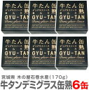 迅速発送・品質保証 牛タンデミグラスソース缶熟 170g×6個セット 送料無料 ●送料無料は沖縄・離島は対象外 ●木の屋石巻水産　宮城県石巻漁港 ●170g 1缶→ ●4缶 送料無料→ ●6缶 送料無料→ ●親爺の惚れたグルメ一覧へ→ ●韓国風味のキムチ 一覧へ→ ■限定日本酒へ→ 　■福島の酒 特別セットへ→★テレビ放映の影響でただいまご注文が大変多く数日お待ちいただく状況です。 ●商品案内　木の屋石巻水産　宮城県石巻漁港 これは缶詰を超越した缶熟です 牛タンデミグラスソース缶熟 この缶詰、宮城県の厚切り牛タンを デミグラスソースでジックリ煮込み仕上げた 木の屋が挑戦するタンシチューです。 それも高級レストラン並みの味で素晴らしい。 一缶ずつ個包装箱に入っているので プチギフトにお薦めです。 牛タンデミグラスソース缶熟 170g×6個セット 送料無料 ●木の屋石巻水産　宮城県石巻漁港 ●内容量：170g ( 固形量:80g )　箱入 ●原材料名：デミグラスソース（国内製造／野菜ベース・トマトケチャップ・牛脂・その他）牛たん・発酵調味料・酵母エキス・／増粘剤（加工でん粉・カラギナン）カラメル色素・調味料（アミノ酸等）乳化剤（一部に小麦・乳成分・牛肉・鶏肉を含む） ●栄養成分表示（100g当たり）エネルギー113kcal・たんぱく質14.9g・脂質3.6g・炭水化物5.3g・食塩相当量0.9g（推定値） ●賞味期限：お送りする商品は1年以上あるものをお送りいたします。 ●牛たんの缶詰は従来の製法だと熱がかかり過ぎるせいか、ボソボソとしてしまって食感が良くありませんが、木の屋が足掛け5年がかりで開発した「牛タン」缶詰は納得のいく商品に出来がりました！お客様からは牛タンの食感やソースの味、予想以上に牛タンがゴロっと多く入っていることなどご好評いただいています。一缶ずつ箱に入れています。個包装箱はプチギフトとして好評です、ぜひご利用ください。 ●おススメの温め方について…ひと手間かけて「湯煎」で温める。沸騰させたお湯の火を止め、その中に缶ごと約5分いれてください。5分後、熱くなった缶に気を付けながら取り出して蓋を開けてからお楽しみください。 ●本品は普通便発送です。 ●離島・クール便同梱・沖縄はご注文後追加送料がかかります。 ●日祭日を除く10時まで当日発送可能 ●到着日時指定OK ●在庫設定が間に合わず万一品切れの際はすぐ連絡致します。●問い合わせ電話0246-25-2301 ■グルメ一覧へ→　■キムチ一覧へ→