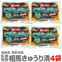 (福島県)送料無料【4袋セット】きゅうりの一本漬け「菅野漬物 相馬きゅうり漬」283g【送料無料 同梱不可】福島県民食