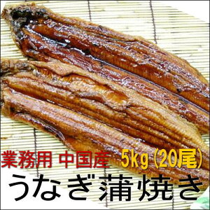 うなぎ蒲焼き　特大　中国産5kg20尾入り 【お土産】【業務用】【土用丑】