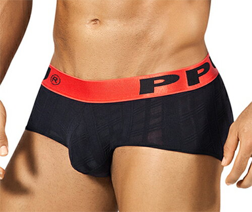 PPUis[s[[j Classic Check Brief u[t SXL