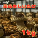 農家直送*生しいたけたっぷり1kg【おまけ付き】【クール便】【送料無料】 椎茸 きのこ キノコ しいたけ シイタケ 椎茸 大容量 おまけ お得 お買い得 特別価...
