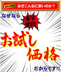スタミナポークウィンナー2P×10