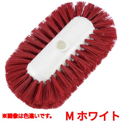 ブラシ スパルタ タンクケトルブラシ M ホワイト 40043-02/小物送料対象商品