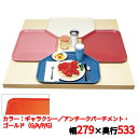 トレー キャンブロ トラペゾイドカムトレイ 1121TR(526)G/A/P/G CAMTRAYS /業務用/新品/小物送料対象商品