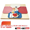 トレー キャンブロ トラペゾイドカムトレイ 1422TR(526)G/A/P/G CAMTRAYS /業務用/新品/小物送料対象商品