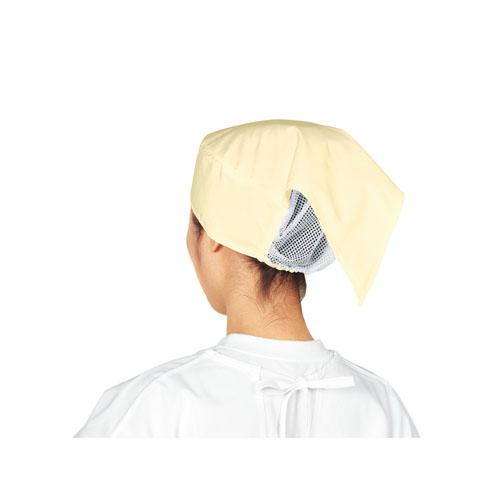 Сå ȥɥ饤顼 C2100-3 ꡼/̳//ʪоݾ