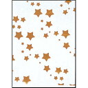 SKバッグ 星(100枚入) No.5/業務用/新品/小物送料対象商品(3)