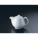 RT エポック 10630-34211 ティーポット1人用/業務用/新品/小物送料対象商品(3)