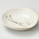オアシス平鉢 φ18.5×5cm 035-138/業務用/新品/小物送料対象商品