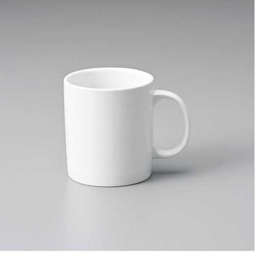 ■商品説明■商品名：スタイルBS切立マグカップ(M)メーカー品番：550-379お届け数：1サイズ(cm)：口径8.7×9.7容量(cc)：360素材：磁器【配送料について】【ご注意】画面上の色はブラウザやご使用のパソコンの設定により実物と異なる場合があります。