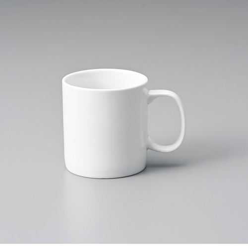 ■商品説明■商品名：スタイルBS切立マグカップ(S)メーカー品番：550-389お届け数：1サイズ(cm)：口径8×8.6容量(cc)：290素材：磁器【配送料について】【ご注意】画面上の色はブラウザやご使用のパソコンの設定により実物と異なる場合があります。