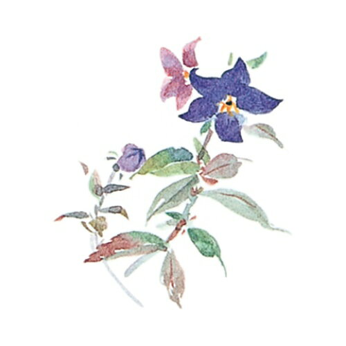 耐油懐敷 15角 ききょう(1000枚)/業務用/新品/小物送料対象商品