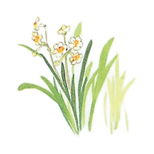 耐油懐敷 15角 水仙(1000枚)/業務用/新品/小物送料対象商品
