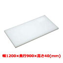 業務用 まな板 マナ板 幅1200mm×奥行900mm×高さ40mm【テンポスオリジナル(アルファ製品)】【送料無料】
