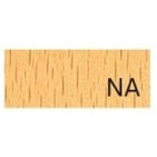 業務用椅子【プロシード】ケルプイスNA 11532-A 幅450×奥行535×高さ765 シート高440(mm)/業務用/新品/送料無料 [3]