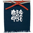 帆前掛け 今日も元気に メッセージ帆前掛 短タイプ のぼり屋工房 短タイプ(幅460mm×丈520mm)/業務用/新品