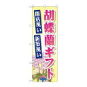 P.O.Pプロダクツ/☆G_のぼり GNB-2528 胡蝶蘭ギフト/新品/小物送料対象商品