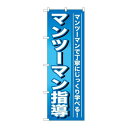 P.O.Pプロダクツ/☆G_のぼり GNB-759 マンツーマン指導/新品/小物送料対象商品