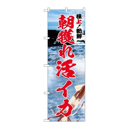 P.O.Pプロダクツ/☆G_のぼり SNB-5322 朝獲レ活イカ 極上/新品/小物送料対象商品