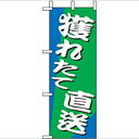 ミニのぼり「獲れたて直送」のぼり屋工房 9537 幅100mm×高さ280mm/業務用/新品