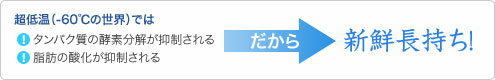 DF-200e ダイレイ 【2年保証】 冷凍ストッカー超低温（-60℃） スーパーフリーザー 191L 単相100V 幅925×奥行694×高さ848(mm)【業務用/新品】 【送料無料】