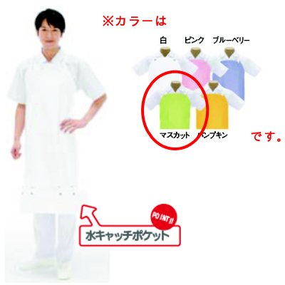 商品情報商品番号：8376640商品名：シャバルバ ソフトドライ用 前掛胸付 558 M マスカットメーカー：EBMサイズ/内容量/重量：8001000 / 容量： / 重量：200gその他：材質：基布/ナイロン、コーティング/ポリウレタンコーティング0.2mm厚●裾のポケットに水が溜まるので床に水をたらさず衛生的です。溜まったら広げて洗い流せます。 配送料について【ご注意】画面上の色はブラウザやご使用のパソコンの設定により実物と異なる場合があります。JANコード：4933884012332