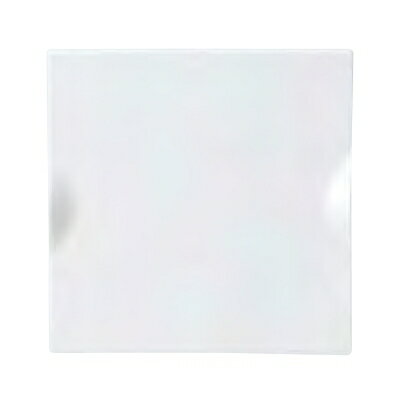 スクエアプレート フラットスクエアプレート 23cm＿ホワイト Miyama2入/業務用/新品/小物送料対象商品