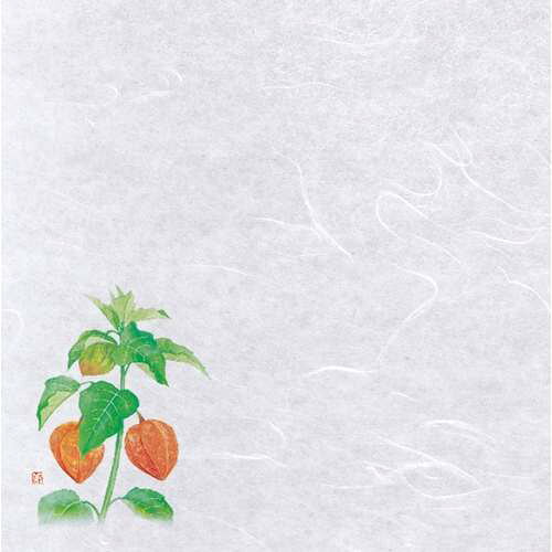 ■商品説明■商品名：新・濡れ奉書紙 ほおずき (100枚入)メーカー：ヤマコーメーカー品番：21-383-06外形寸法：幅20×20cm(mm)お届け数：1商品コード：65398【配送料について】【ご注意】画面上の色はブラウザやご使用のパソコンの設定により実物と異なる場合があります。