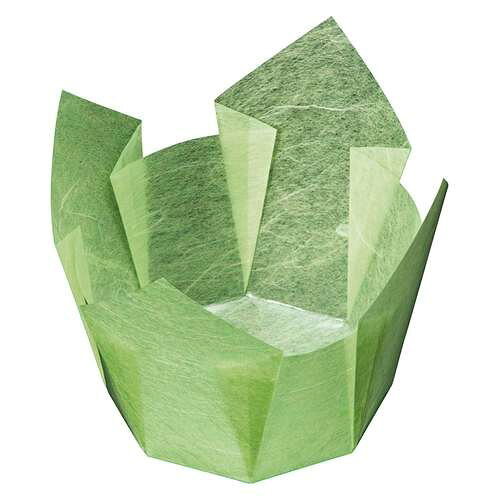 両面OP珍味入 若草雲竜 大 (100枚入)/業務用/新品/小物送料対象商品