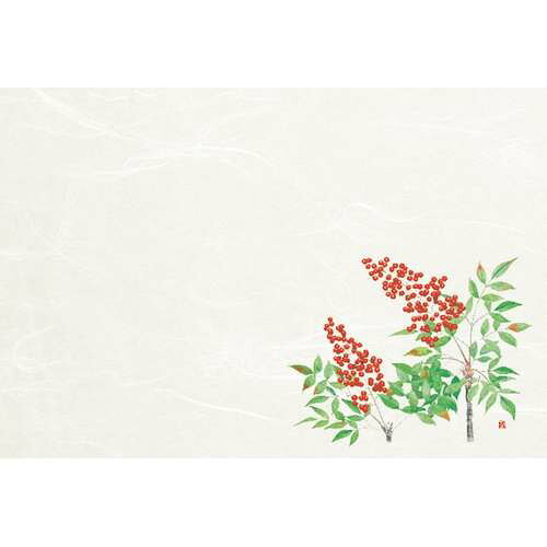 尺3雲竜和紙懐石まっと 四季 南天 (50枚入)/業務用/新品/小物送料対象商品